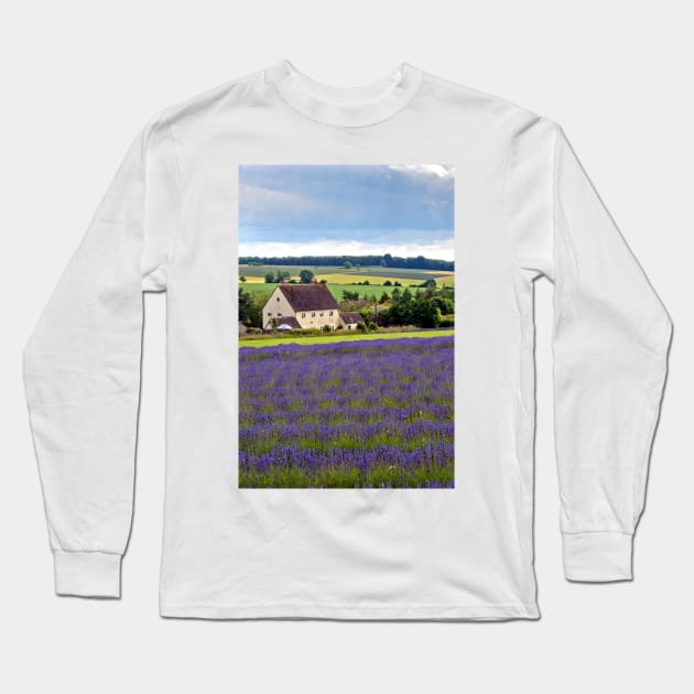 Lavender Field Summer Flowers Cotswolds England Long Sleeve T-Shirt by Andy Evans Photos